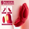 Vibrator Couples Sex Toys, Wearable Couple Vibrator, Vibrating Panties With 9 Vibration Settings, Mini Bullet Vibrator For Women - Image 3