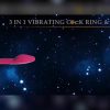 Remote-Controlled Prostate Massager with Anal Plug And Rooster Ring - Includes Mini Bullet And Taint Stimulator for Intense Male Stimulation - Image 9