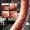 [Realistic Silicone Vibrator] 1pc Realistic Silicone Thrusting Dildo Vibrator - Heating and Vibration, Remote-Controlled Strong Suction Cup, Lifelike Design for Clitoral G-Spot Stimulation, Wireless Adult Sex Toy for Women and Couples - Image 5