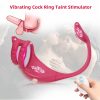 Remote-Controlled Prostate Massager with Anal Plug And Rooster Ring - Includes Mini Bullet And Taint Stimulator for Intense Male Stimulation - Image 3