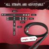 Black Leather Cock Ring Sex Bondage BDSM Testicle Pulling Collar and Leash, Ball Stretcher with Chain Leash, Scrotum Set Reusable Sex Toys for Enhand Sensual Play and Intimate Exploration - Image 6