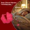 Remote-Controlled Wearable Vibrator for Sexual Pleasure, Wireless Toy with 10 Vibration Modes, Adjustable Mini BDSM Clip for Stimulation, Adult Sex Toy for Female Couples - Image 5