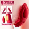 Vibrator Couples Sex Toys, Wearable Couple Vibrator, Vibrating Panties With 9 Vibration Settings, Mini Bullet Vibrator For Women - Image 3