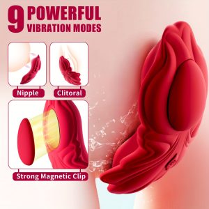 Vibrator Couples Sex Toys, Wearable Couple Vibrator, Vibrating Panties With 9 Vibration Settings, Mini Bullet Vibrator For Women